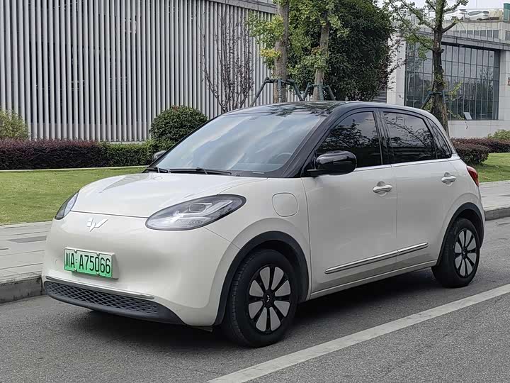 Wuling Bingo
