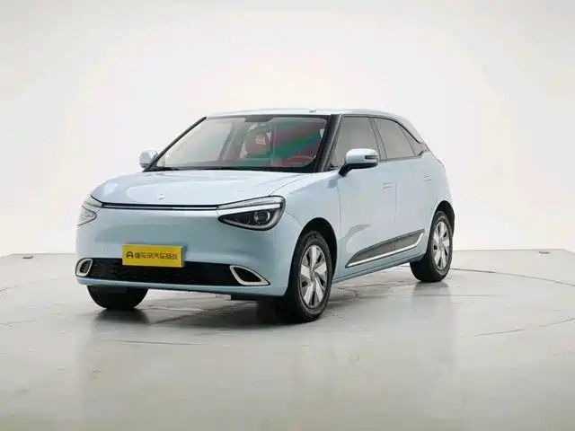 DongFeng Nammi 01